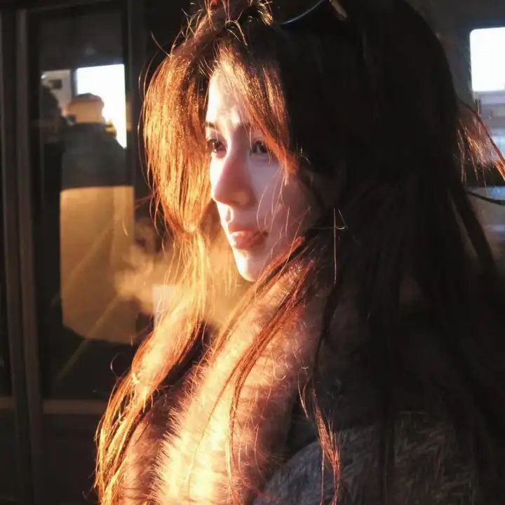 重生退婚妻第二季